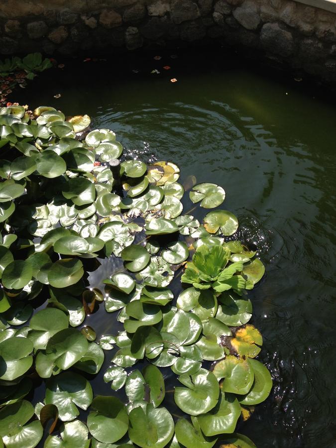 Garden Roomz Oman Muscat Eksteriør billede